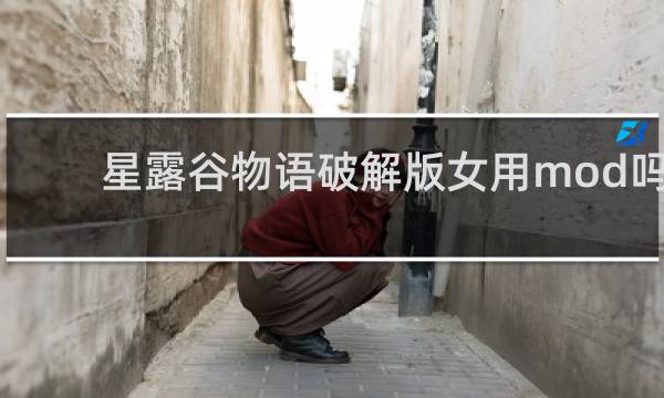 星露谷物语破解版女用mod吗