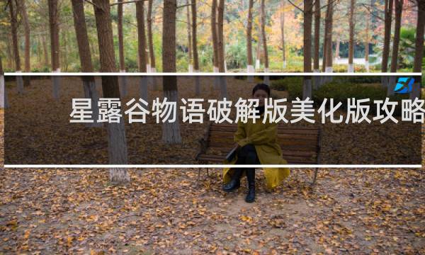 星露谷物语破解版美化版攻略