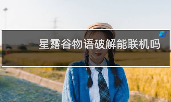 星露谷物语破解能联机吗