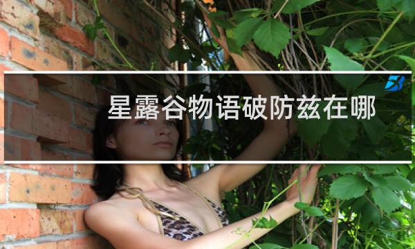 星露谷物语破防兹在哪
