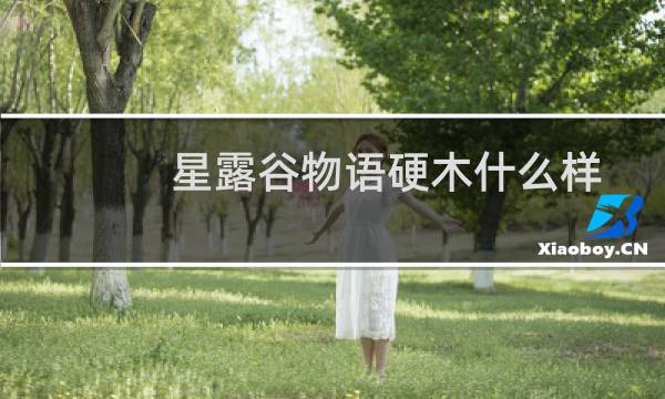 星露谷物语硬木什么样
