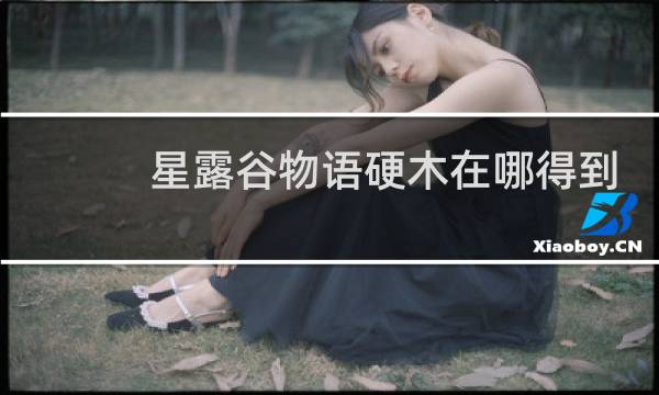 星露谷物语硬木在哪得到