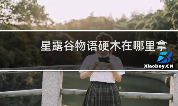 星露谷物语硬木在哪里拿