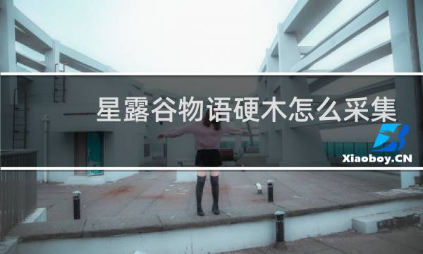 星露谷物语硬木怎么采集