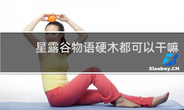 星露谷物语硬木都可以干嘛