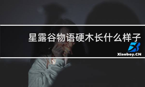 星露谷物语硬木长什么样子