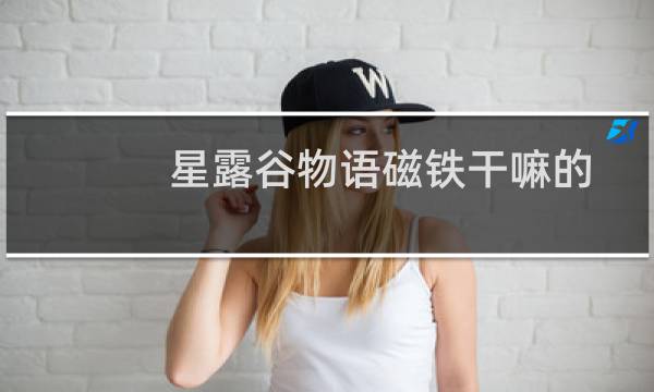 星露谷物语磁铁干嘛的