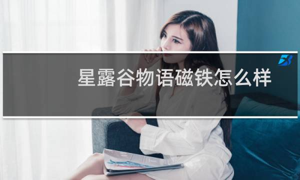 星露谷物语磁铁怎么样
