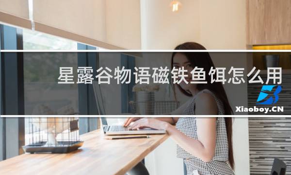 星露谷物语磁铁鱼饵怎么用