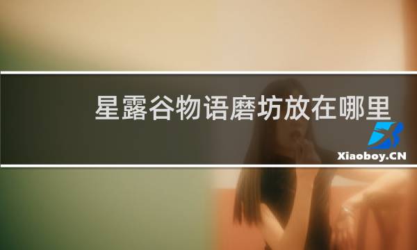 星露谷物语磨坊放在哪里