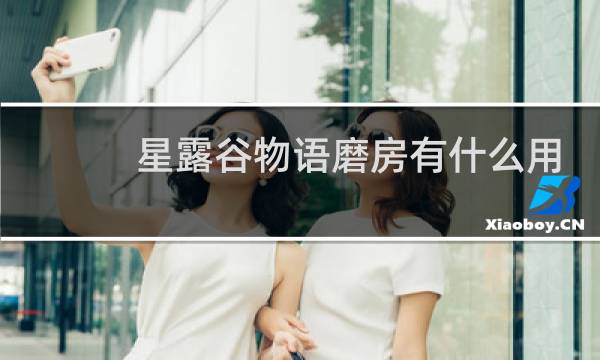 星露谷物语磨房有什么用