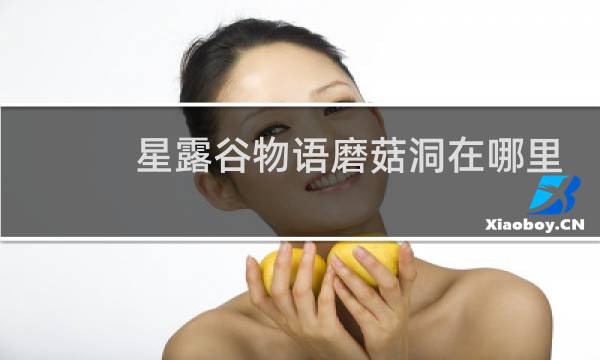 星露谷物语磨菇洞在哪里