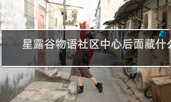 星露谷物语社区中心后面藏什么