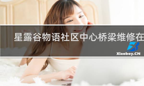 星露谷物语社区中心桥梁维修在哪