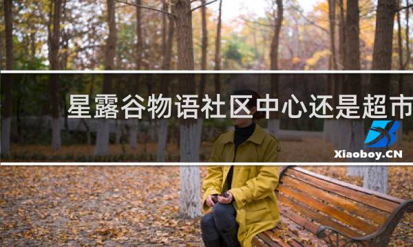 星露谷物语社区中心还是超市