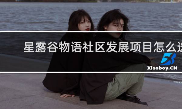 星露谷物语社区发展项目怎么选