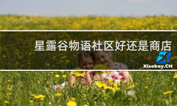 星露谷物语社区好还是商店