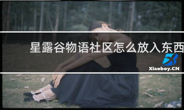 星露谷物语社区怎么放入东西