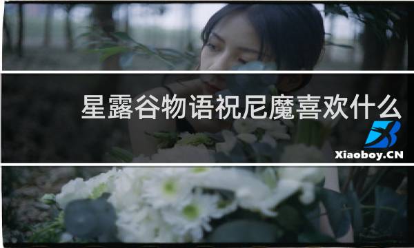 星露谷物语祝尼魔喜欢什么