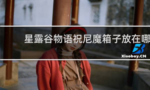 星露谷物语祝尼魔箱子放在哪