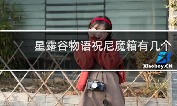 星露谷物语祝尼魔箱有几个