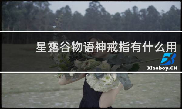 星露谷物语神戒指有什么用