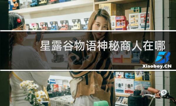 星露谷物语神秘商人在哪