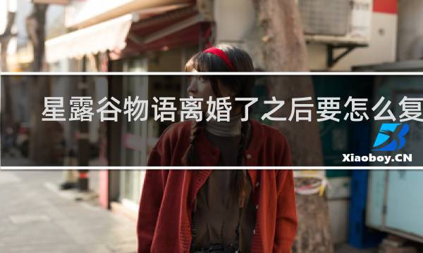 星露谷物语离婚了之后要怎么复合