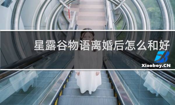 星露谷物语离婚后怎么和好