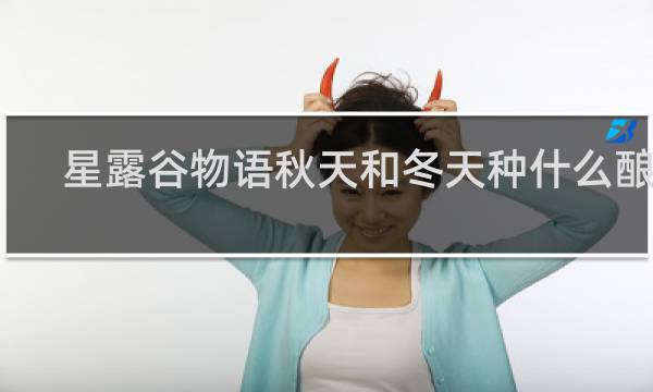 星露谷物语秋天和冬天种什么酿酒