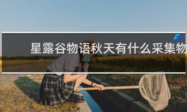 星露谷物语秋天有什么采集物