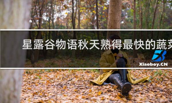 星露谷物语秋天熟得最快的蔬菜