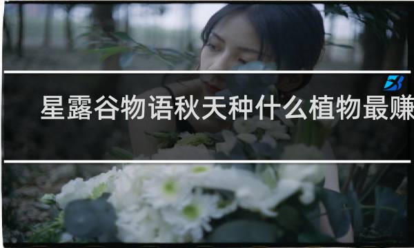 星露谷物语秋天种什么植物最赚钱