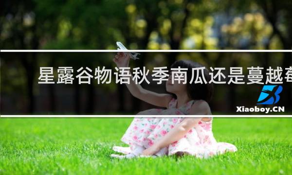 星露谷物语秋季南瓜还是蔓越莓