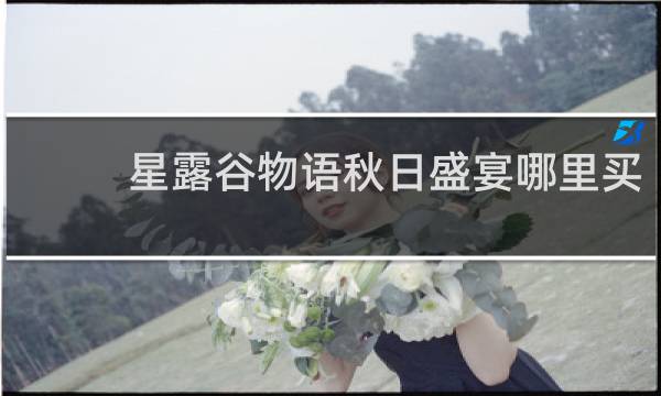 星露谷物语秋日盛宴哪里买