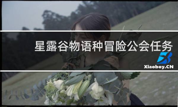 星露谷物语种冒险公会任务