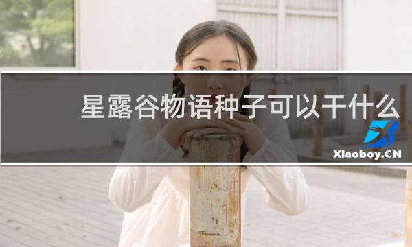 星露谷物语种子可以干什么