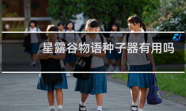 星露谷物语种子器有用吗