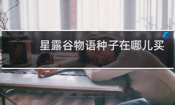 星露谷物语种子在哪儿买