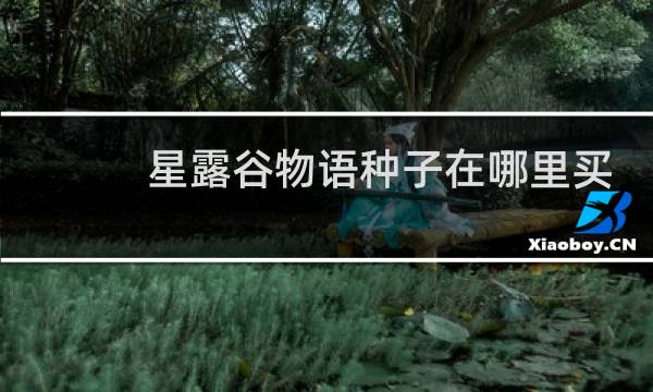 星露谷物语种子在哪里买