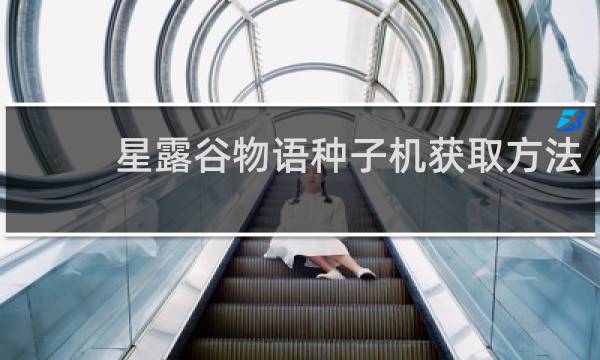 星露谷物语种子机获取方法