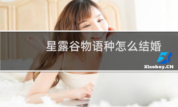 星露谷物语种怎么结婚