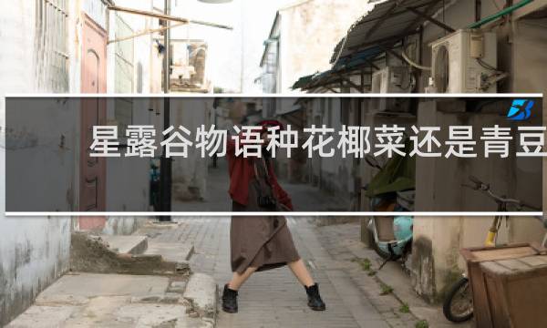 星露谷物语种花椰菜还是青豆