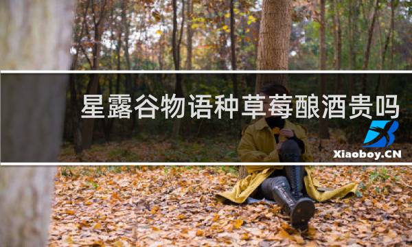 星露谷物语种草莓酿酒贵吗