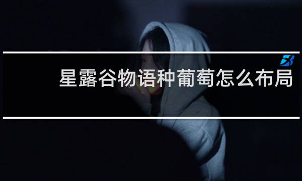 星露谷物语种葡萄怎么布局