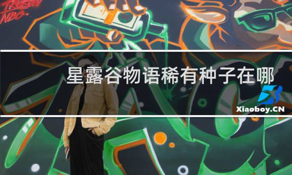 星露谷物语稀有种子在哪