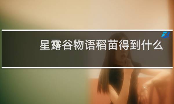 星露谷物语稻苗得到什么