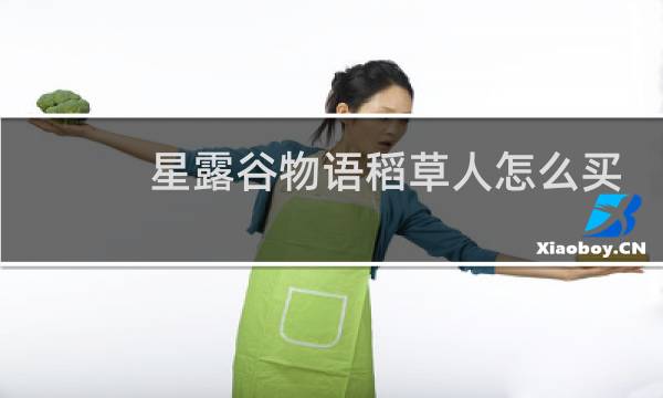 星露谷物语稻草人怎么买