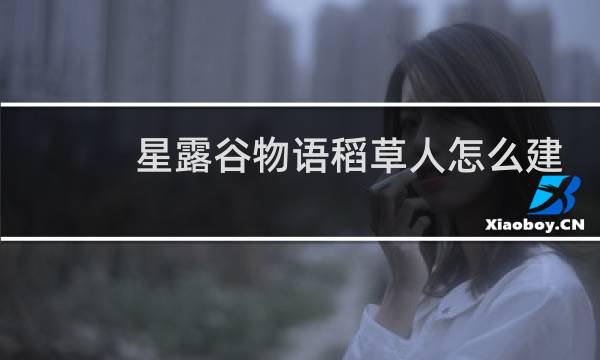 星露谷物语稻草人怎么建
