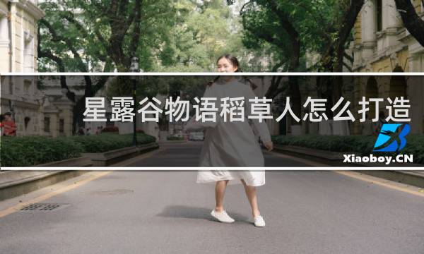 星露谷物语稻草人怎么打造